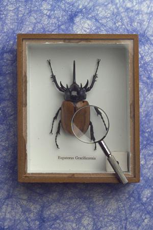 激安で缶バッチを製作してくれる会社