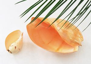 人気を得ている名入れ記念品とは