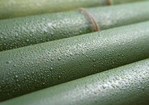 陶磁器のカタログは耐熱性なども分かる