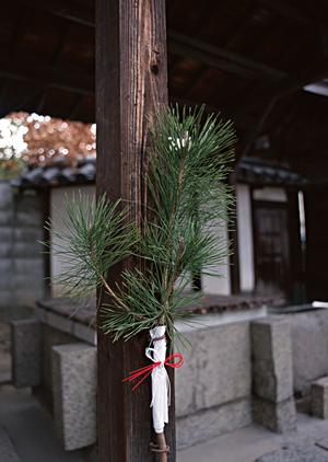 確実な印象を与える名刺作成サイトの選び方を徹底解説！